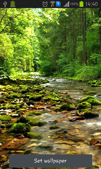 Descargar  Río hermoso del bosque - los fondos gratis de pantalla para Android en el escritorio. 