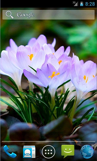 La captura de pantalla Flores increíbles de primavera para celular y tableta.