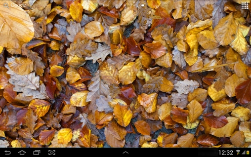 La captura de pantalla Hojas de otoños 3D para celular y tableta.