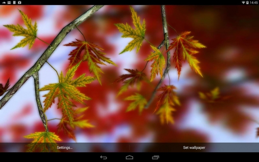 La captura de pantalla Hojas de otoño 3D para celular y tableta.