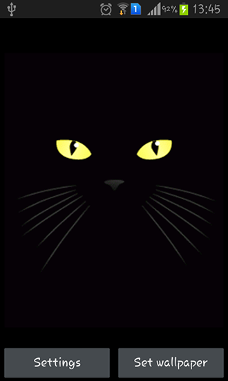 La captura de pantalla Gato negro para celular y tableta.