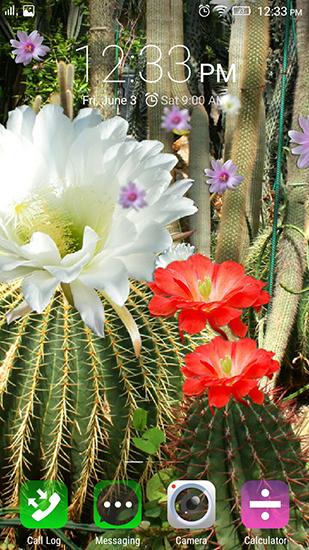 La captura de pantalla Flores del cactus  para celular y tableta.