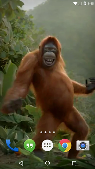 La captura de pantalla Mono bailarín  para celular y tableta.