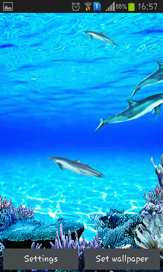 La captura de pantalla Sonidos de los delfines para celular y tableta.