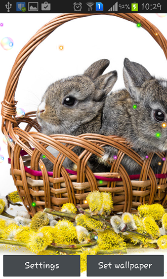 La captura de pantalla Conejos de Pascuas 2015 para celular y tableta.