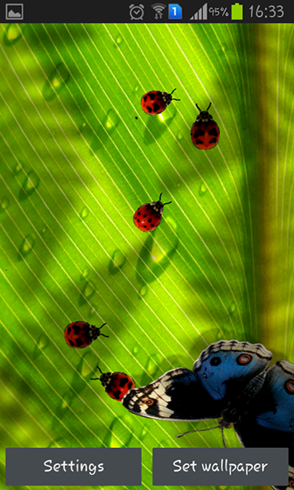 La captura de pantalla Escarabajos amistosos para celular y tableta.