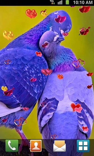 La captura de pantalla Amor: Pájaros  para celular y tableta.