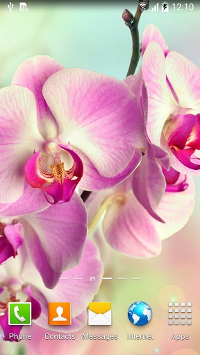 La captura de pantalla Orquídeas para celular y tableta.
