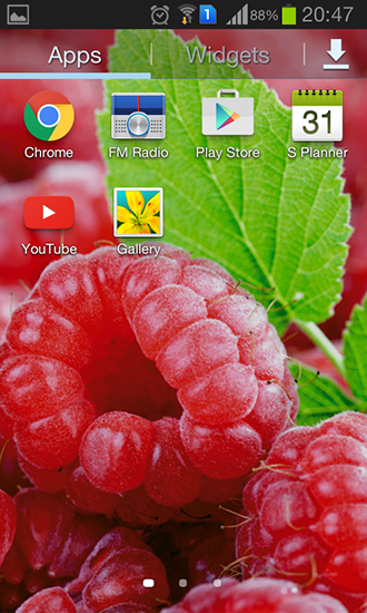 La captura de pantalla Frambuesa para celular y tableta.