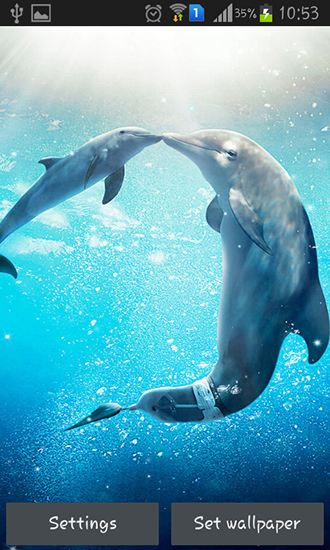 La captura de pantalla Delfín de mar para celular y tableta.