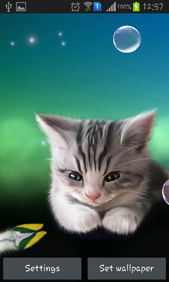 La captura de pantalla Gatito soñoliento  para celular y tableta.