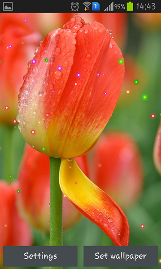 La captura de pantalla Lirios y tulipanes de primavera para celular y tableta.