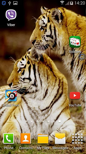 La captura de pantalla Tigres: Sacude y cambia  para celular y tableta.