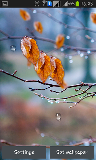 Lluvia del otoño