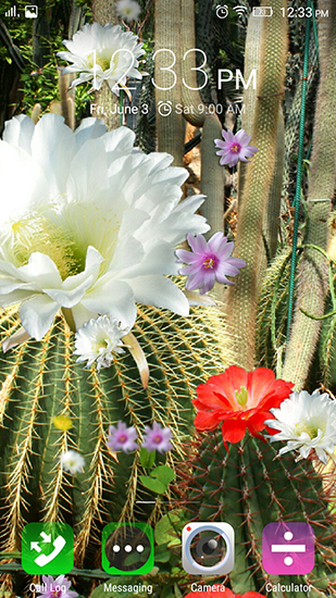 Flores del cactus 