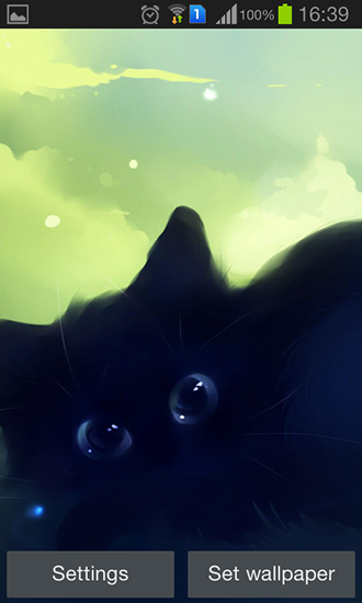 Gatito negro solitario 