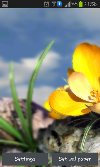 Fauna: Flores 3D de primavera 
