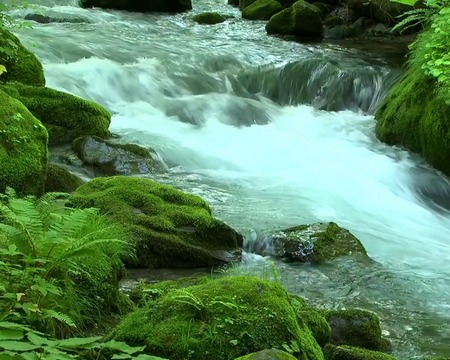 Flujo del río 