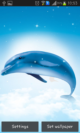 Delfín de mar