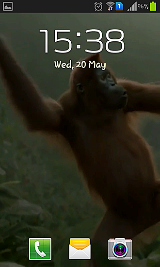 Baile  salvaje del mono loco