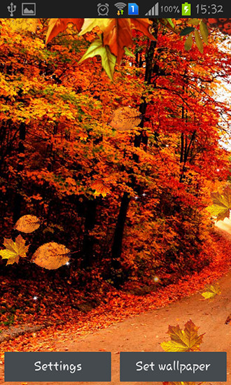 Calles de otoño 