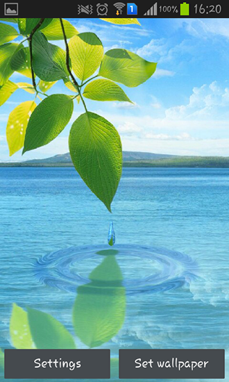 Gota de agua: Flores y hojas