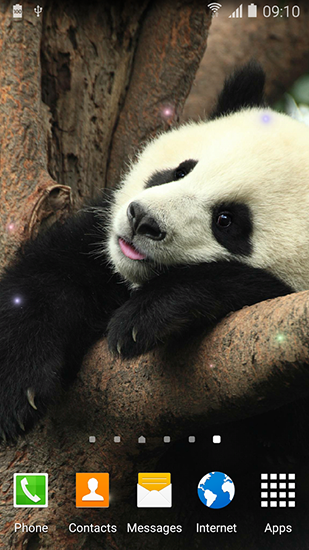 Panda simpática 