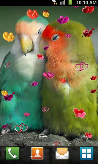 Amor: Pájaros 