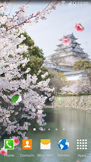 Jardines de Sakura