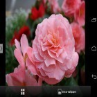 Además de los fondos de pantalla animados para Android Amor , descarga la apk gratis de los salvapantallas Maravillosas flores  .