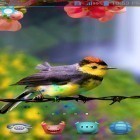 Además de los fondos de pantalla animados para Android Marcos con fotos de pájaros , descarga la apk gratis de los salvapantallas .