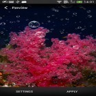 Además de los fondos de pantalla animados para Android Montañas de inverno nocturnas , descarga la apk gratis de los salvapantallas Arrecife coralino .