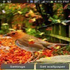 Además de los fondos de pantalla animados para Android Brillo, descarga la apk gratis de los salvapantallas Pájaros lindos  .