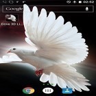 Además de los fondos de pantalla animados para Android Pájaro lindo, descarga la apk gratis de los salvapantallas .