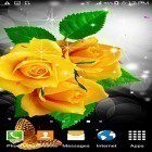 Además de los fondos de pantalla animados para Android Flores de plastilina , descarga la apk gratis de los salvapantallas .