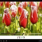 Además de los fondos de pantalla animados para Android Belleza , descarga la apk gratis de los salvapantallas Mi flor 3D .