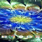 Descarga Flores de neón   para Android, así como otros fondos gratis de pantalla en movimiento para Nokia 206.