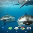 Además de los fondos de pantalla animados para Android Halloween, descarga la apk gratis de los salvapantallas Océano 3D: Delfines .