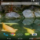 Además de los fondos de pantalla animados para Android Agua real, descarga la apk gratis de los salvapantallas .