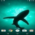Además de los fondos de pantalla animados para Android Fantasma, descarga la apk gratis de los salvapantallas Tiburones  .