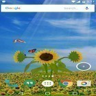 Además de los fondos de pantalla animados para Android Jardín céltico, descarga la apk gratis de los salvapantallas .