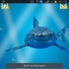 Además de los fondos de pantalla animados para Android Amor , descarga la apk gratis de los salvapantallas Tiburón enojado: Pantalla rota .