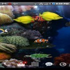 Además de los fondos de pantalla animados para Android , descarga la apk gratis de los salvapantallas Aquario.