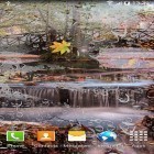 Descarga Paisaje de otoño  para Android, así como otros fondos gratis de pantalla en movimiento para Sony Ericsson Xperia X8.