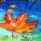 Además de los fondos de pantalla animados para Android Ucranianos, descarga la apk gratis de los salvapantallas Hojas de otoño.