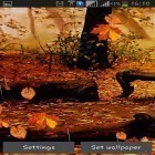 Además de los fondos de pantalla animados para Android Naturaleza de primavera , descarga la apk gratis de los salvapantallas Lluvia de otoño.
