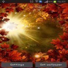 Además de los fondos de pantalla animados para Android Dolares voladores 3D, descarga la apk gratis de los salvapantallas Sol de otoño.