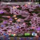 Además de los fondos de pantalla animados para Android Londres lluvioso, descarga la apk gratis de los salvapantallas Florecimiento .