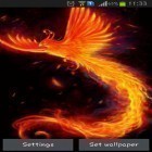 Además de los fondos de pantalla animados para Android Cataratas místicas, descarga la apk gratis de los salvapantallas Pájaro de fuego.