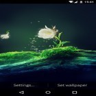 Descarga Flor del cactus  para Android, así como otros fondos gratis de pantalla en movimiento para Sony Ericsson W880.